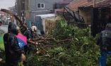 Kronologi Puting Beliung Terjang Bandung Barat, Rumah Warga Padalarang Rusak hingga Pohon Tumbang