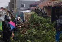 Kronologi Puting Beliung Terjang Bandung Barat, Rumah Warga Padalarang Rusak hingga Pohon Tumbang Kronologi Puting Beliung Terjang Bandung Barat, Rumah Warga Padalarang Rusak hingga Pohon Tumbang