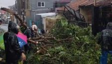 Kronologi Puting Beliung Terjang Bandung Barat, Rumah Warga Padalarang Rusak hingga Pohon Tumbang Kronologi Puting Beliung Terjang Bandung Barat, Rumah Warga Padalarang Rusak hingga Pohon Tumbang
