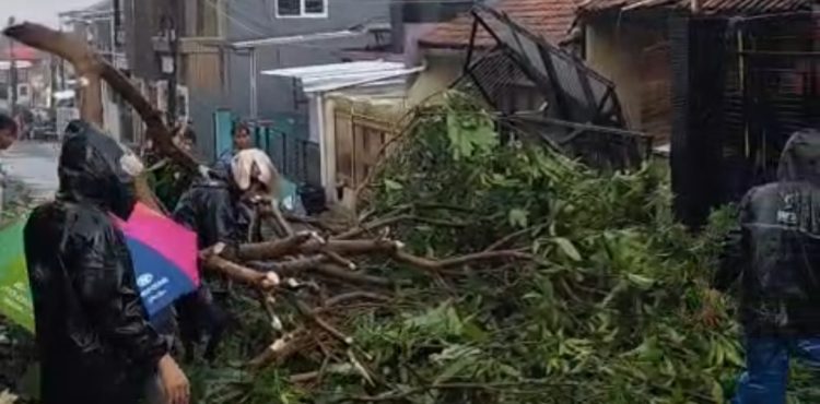 Kronologi Puting Beliung Terjang Bandung Barat, Rumah Warga Padalarang Rusak hingga Pohon Tumbang