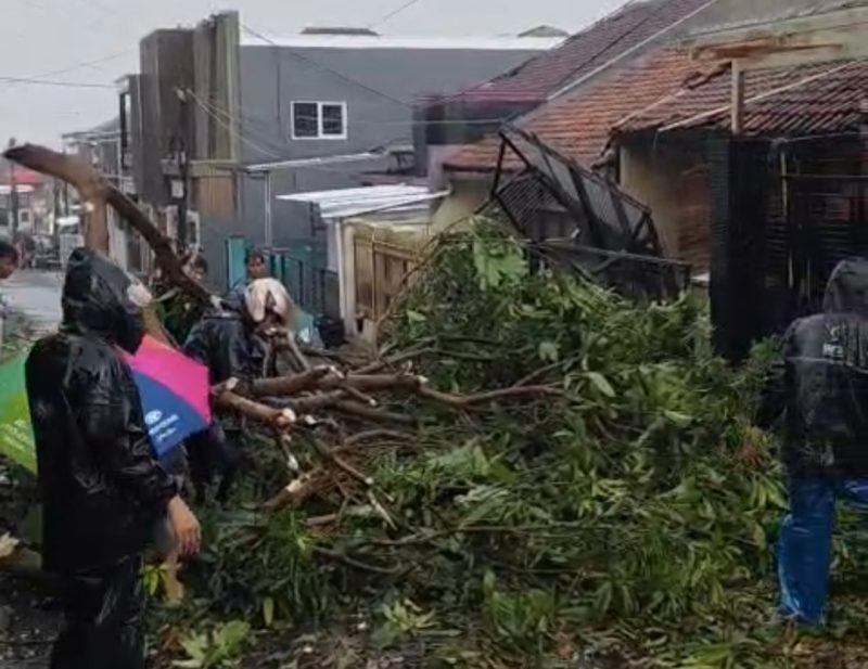 Kronologi Puting Beliung Terjang Bandung Barat, Rumah Warga Padalarang Rusak hingga Pohon Tumbang