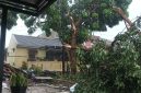 Kronologi Puting Beliung Terjang Bandung Barat, Rumah Warga Padalarang Rusak hingga Pohon Tumbang