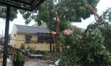 Kronologi Puting Beliung Terjang Bandung Barat, Rumah Warga Padalarang Rusak hingga Pohon Tumbang