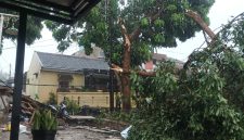 Kronologi Puting Beliung Terjang Bandung Barat, Rumah Warga Padalarang Rusak hingga Pohon Tumbang