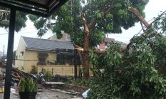 Kronologi Puting Beliung Terjang Bandung Barat, Rumah Warga Padalarang Rusak hingga Pohon Tumbang