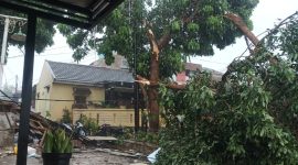 Kronologi Puting Beliung Terjang Bandung Barat, Rumah Warga Padalarang Rusak hingga Pohon Tumbang