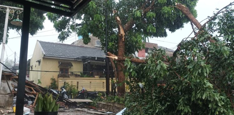 Kronologi Puting Beliung Terjang Bandung Barat, Rumah Warga Padalarang Rusak hingga Pohon Tumbang