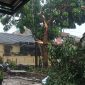 Kronologi Puting Beliung Terjang Bandung Barat, Rumah Warga Padalarang Rusak hingga Pohon Tumbang